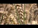 University of Reading - Our Farms