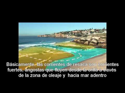 Imagen de previsualización de YouTube