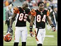 cincinnati bengals   dynomite