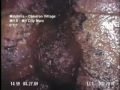 Synth Theme - Malphrus Cameron Village Sewer Blob