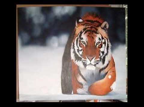 SIBERIAN TIGER