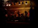 Coyote Guar� na ASES - Coyote Guara