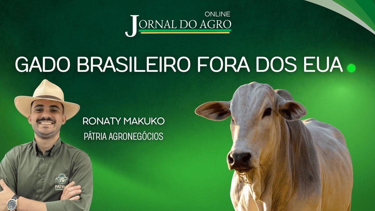 TARIFAÇO: CARNE BRASILEIRA SAI DA ROTA COMERCIAL DOS EUA E PECUARISTAS PROCURAM NOVOS MERCADOS