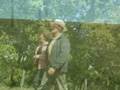 Bodas_youtube_H264_6000kbps_480x360_20fps_black.mp4