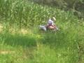 videos de T.P.: A Way of Life trailer 2