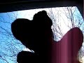 \"All Shook Up/Love Me Tender\" by the Tasmania Devil \"All Shook Up/Love Me Tender\" by the Tasmania Devil