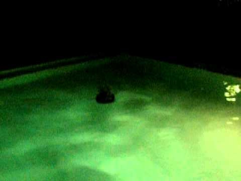 Watch RC Video: 'RC Hovercraft in swimming pool'