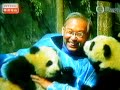 Panda - Ying Ying and Le Le - Hong Kong Ocean Park)