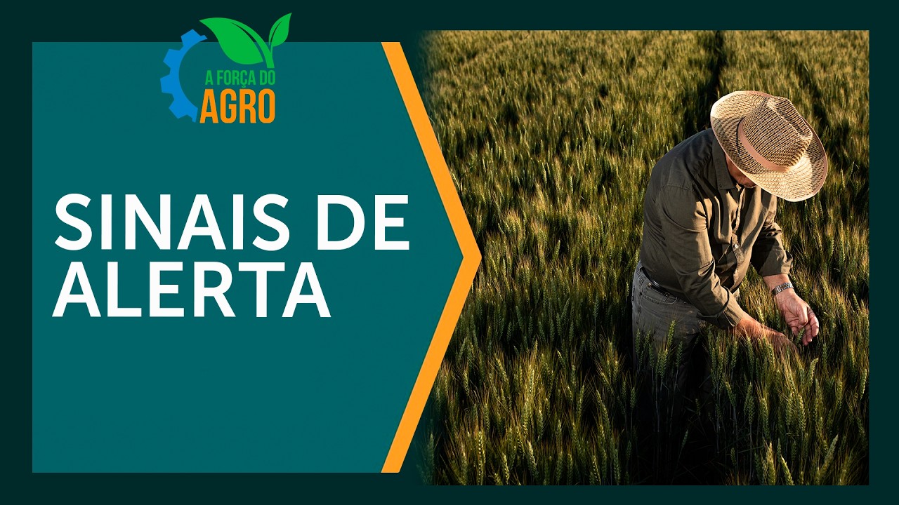 O lado oculto do agro: jovens e mulheres e a saúde mental |  A Força do Agro, com Joice Maffezzolli