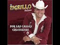 tigrillo palma el compa 80