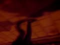MOV01438