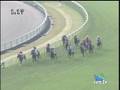 競馬　ブエナビスタ初勝利