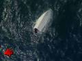 Investigator: Errors Caused NFL Boat Accident