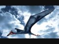 YouTube - A Pterosaur Tribute