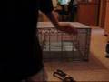 Rey-Mysterio-vs-The-