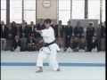 Karate Do Shitokai
