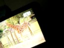 girraffe bby! lmao.