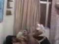 bebê mutante baratossauro o filho de bubassauro
