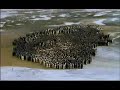 A Marcha dos Pinguins (La Marche de l'empereur)