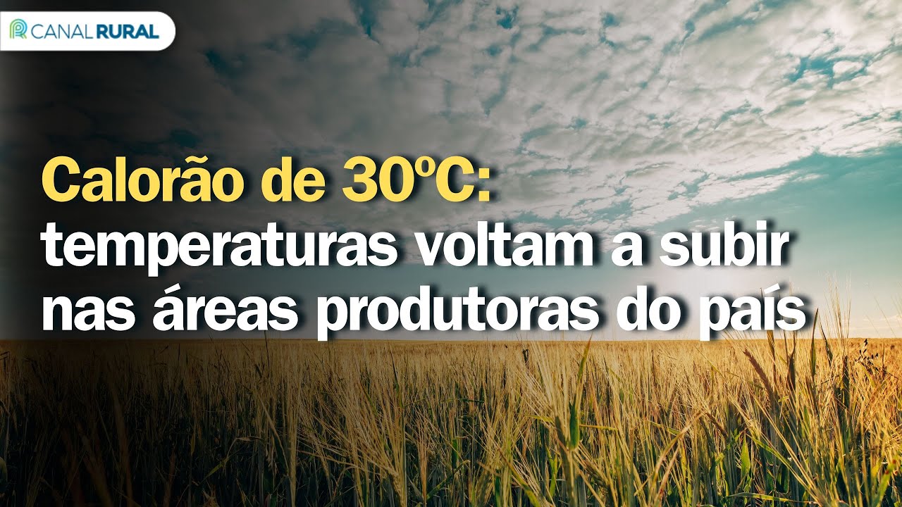 Calorão de 30ºC: temperaturas voltam a subir nas áreas produtoras do país | Previsão do tempo | 24h