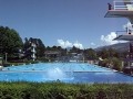 Turmspringen im Haller Schwimmbad Turmspringen im Haller Schwimmbad
