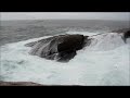 Funk Island - A Marvellous Terrible Place