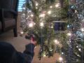 Christmas tree 2009 youtube.wmv