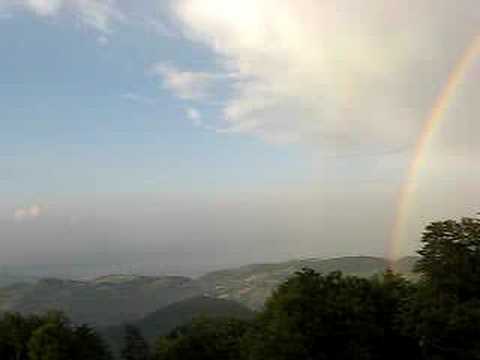 how to dissolve brdu