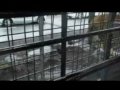 safari park 1/2 safari park 1/2