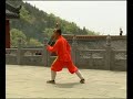 Shaolin Dahongquan Sanlu