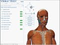 Demo of the Visible Body