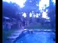 rison empties the pooool