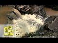 Pandav Falls, Panna