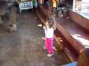 Mc Evellyn Mc Evellyn