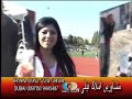 Payam-e-Afghan TV