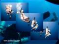 Al Qamar Ferry Dive