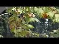 Colori in acqua