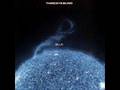 Wounded
