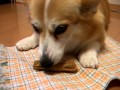 YouTube 動画ポップアップ再生