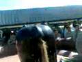 videos de en la 3 sec belisareo dominguez el takataka