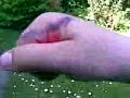 Crazyhand... k.m.l.n.p