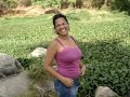 coleta em caruaru coleta em caruaru