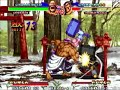 Ninja Masters Multi Character Exhibition