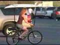 ACG Surfracks - bicycle surf rack system - save gas money!
