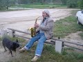 Hey Jude - Beatles with Greg Tibbits on Bebop Alto Sax