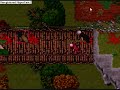 Tibia Pk Isara