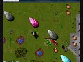 Tibia Pk Isara