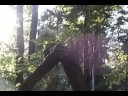 New Twilight Trailer! New Twilight Trailer!