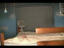 The Parachute