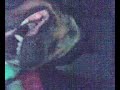 Rottweiler asesino